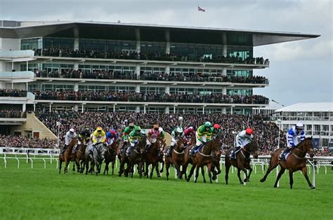 odds for cheltenham festival|Cheltenham 2025 Betting Odds .